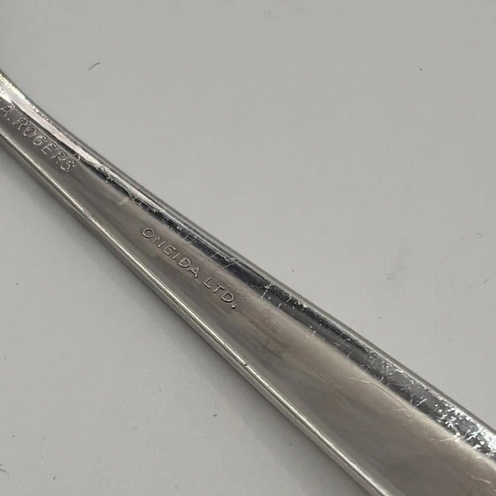 Butter Spreader Vintage ROGERS silverplate WILDWOOD ALWAYS pattern